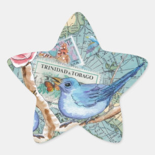 Where Shall We fly Dear? collection Star Sticker