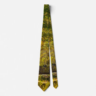 Where The Reflections Begin Painterly Neck Tie