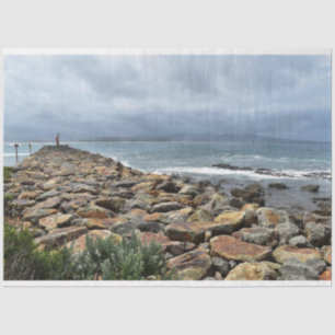 Where the Rocks Meet the Sea - Bastion Point Tissue Paper