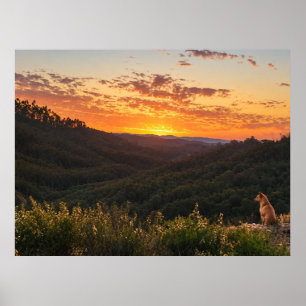 Where the Sun Sets – A Dog’s Golden Moment Poster