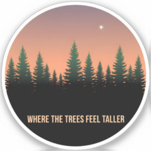 Where the Trees Feel Taller