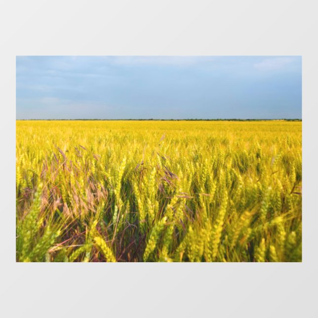 Where the Wheat Dances with the Wind - Wild Nature (Sheet)