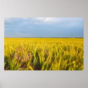 Where the Wheat Dances with the Wind - Wild Nature Poster