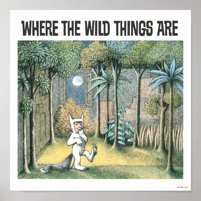 Where The Wild Things Are | Scene 4 Poster (Front)