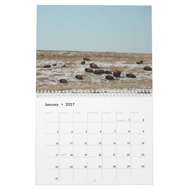 Where theBuffalo Roam Calendar (Jan 2027)
