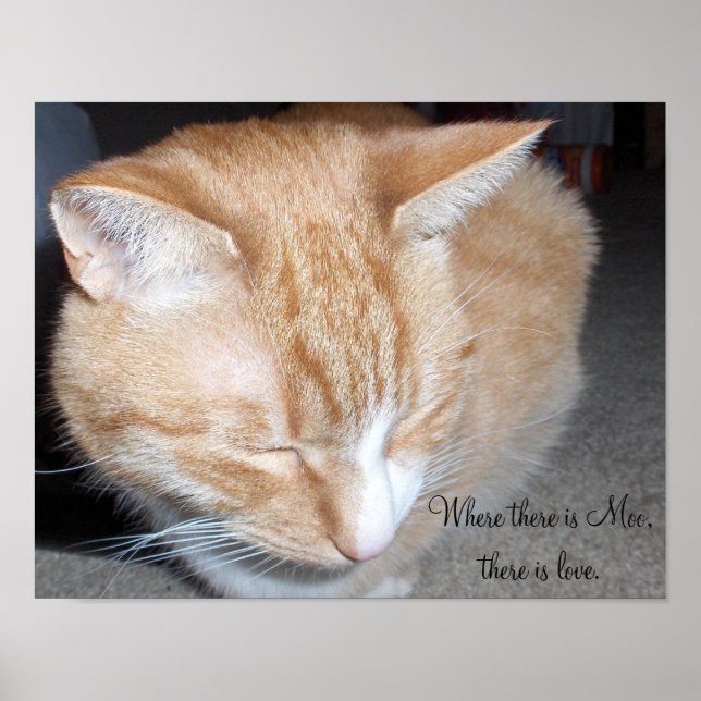 Where there is Moo... Poster (Front)