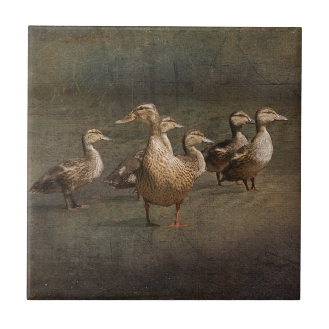 Where To Now? Ceramic Tile (Front)