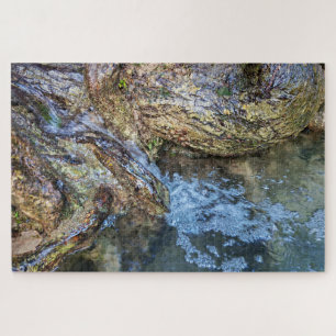 Where Trees Hold the River Jigsaw Puzzle