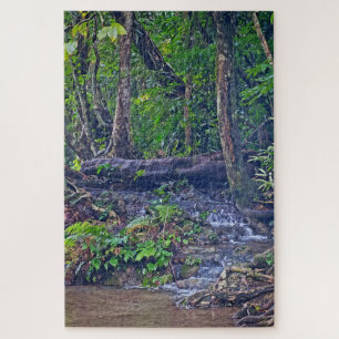 Where Trees Meet Water Jigsaw Puzzle