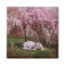 Where Unicorn's Dream Art Magnet