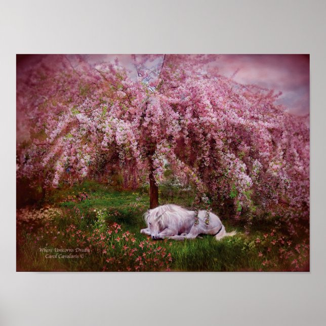 Where Unicorn's Dream Art Poster/Print Poster (Front)