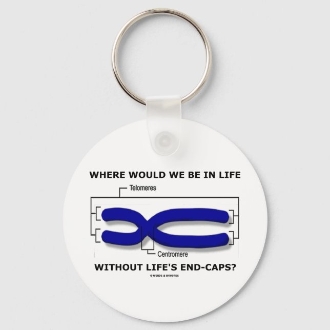 Where Would We Be In Life Without Life's End Caps? Key Ring (Front)