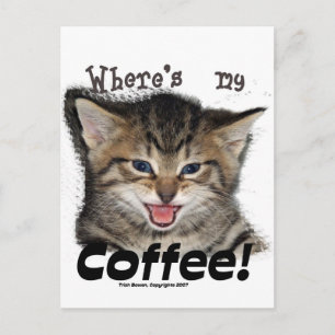 Where's my Coffee Cat Postcard
