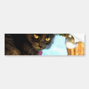 Where's My Presents? Bumper Sticker