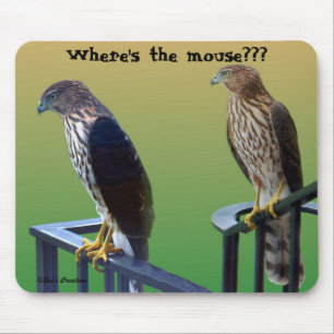 "Where's the mouse???" Hawks Mouse Pad
