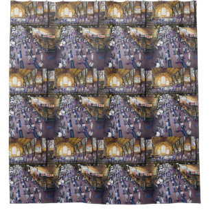 Where's the Women's Water Closet? Budapest Shower Curtain