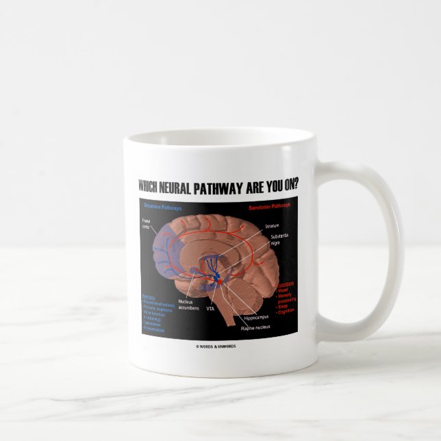 Which Neural Pathway Are You On? Coffee Mug (Right)