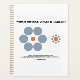 Which Orange Circle Is Larger? Ebbinghaus Illusion Planner