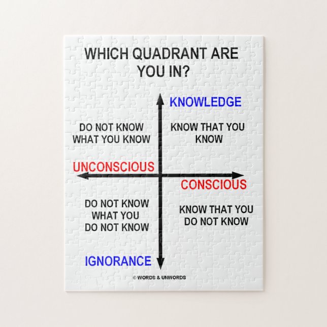 Which Quadrant Are You In? Knowledge Conscious Jigsaw Puzzle (Vertical)