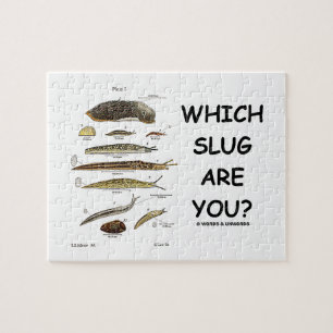 Which Slug Are You? (Different Types Of Slugs) Jigsaw Puzzle