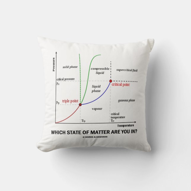 Which State Of Matter Are You In? (Chemistry) Cushion (Front)
