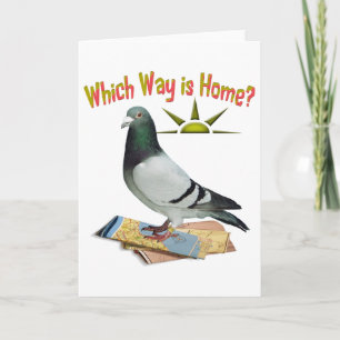 Which Way is Home? Pigeon Art Card
