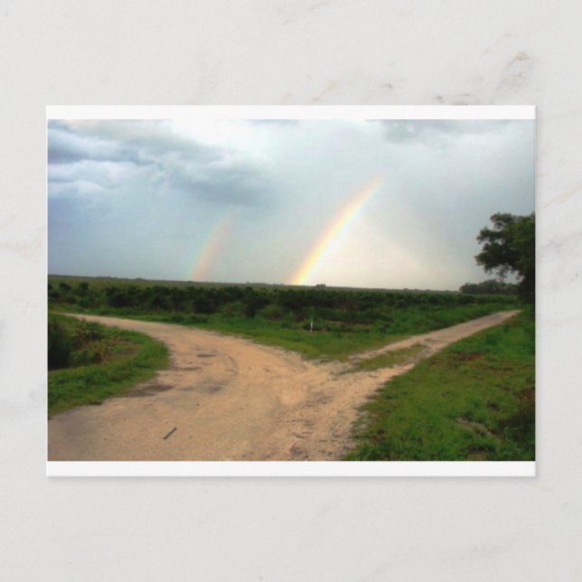 Which way now postcard (Front)