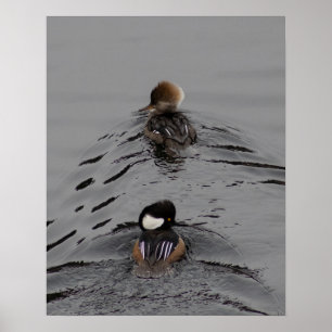 Which Way Poster
