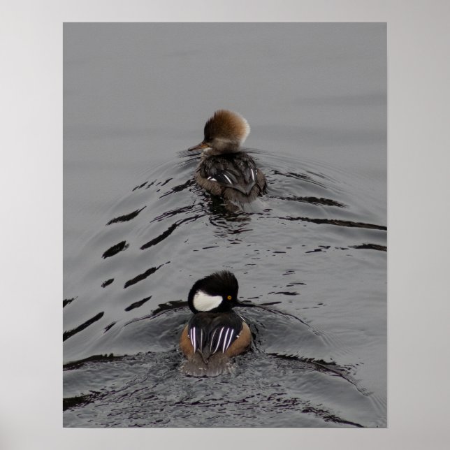 Which Way Poster (Front)
