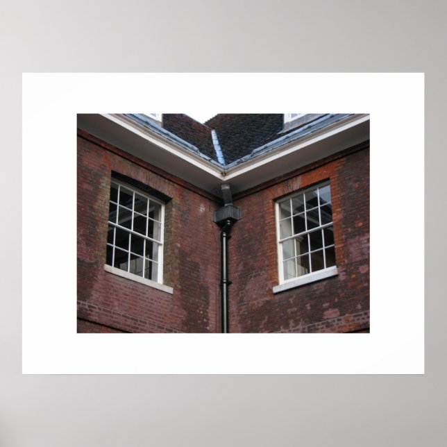 Which way to go poster (Front)