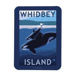 Whidbey Island, WashingtonOrca and Calf Magnet