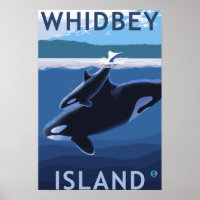 Whidbey Island, WashingtonOrca and Calf