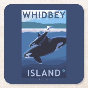 Whidbey Island, WashingtonOrca and Calf Square Paper Coaster