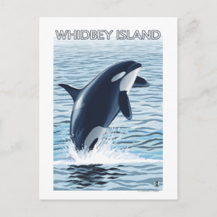 Whidbey Island, WashingtonOrca Jumping Postcard