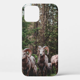 WHILE DRIVING ALONG THE BOW VALLEY PARKWAY IN BANF iPhone 12 CASE