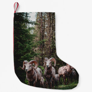 WHILE DRIVING ALONG THE BOW VALLEY PARKWAY IN BANF SMALL CHRISTMAS STOCKING