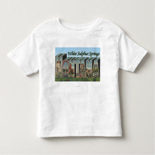 While Sulphur Springs, Montana Toddler T-Shirt