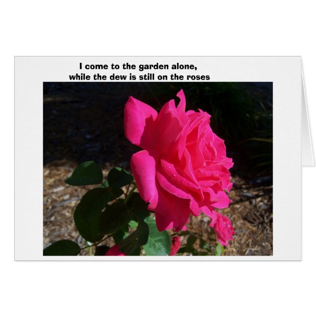 ---While The Dew Is Still On The Roses-- (Front Horizontal)