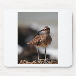 Whimbrel Mouse Pad