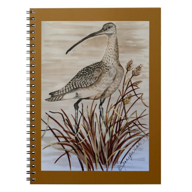 Whimbrel notebook (Front)