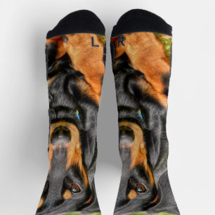 WHIMSICAL Black and Tan Smooth Dachshund Photo Socks
