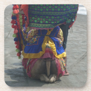 Whimsical Camel Art Print/Graphic Coaster