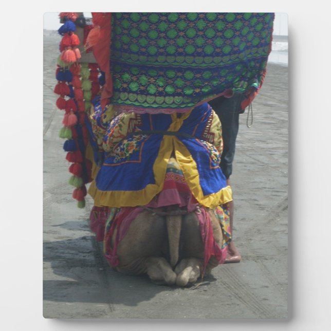 Whimsical Camel Art Print/Graphic Plaque (Front)