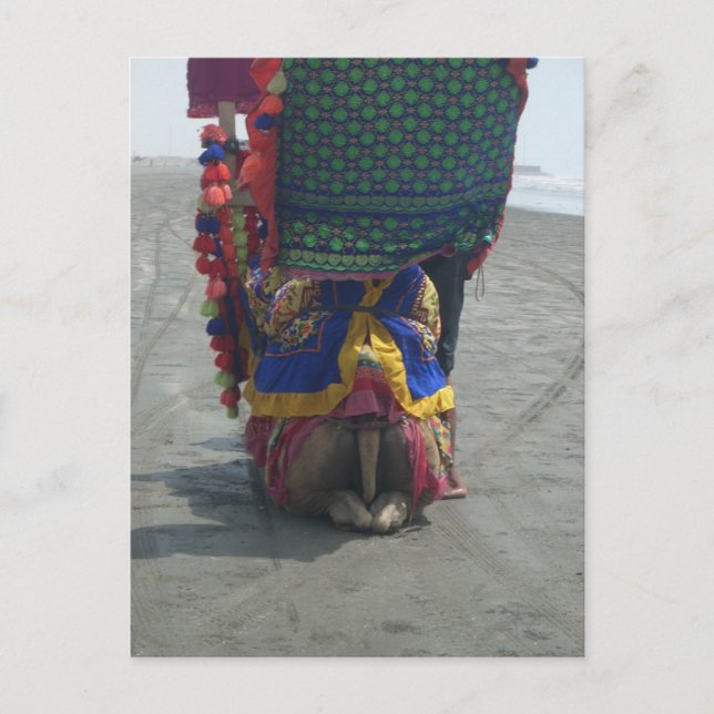 Whimsical Camel Art Print/Graphic Postcard (Front)