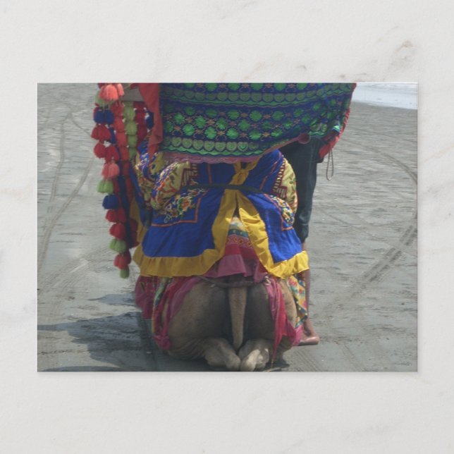 Whimsical Camel Art Print/Graphic Postcard (Front)