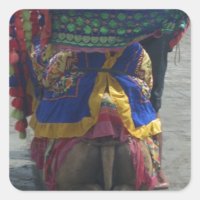 Whimsical Camel Art Print/Graphic Square Sticker (Front)