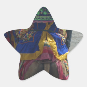 Whimsical Camel Art Print/Graphic Star Sticker