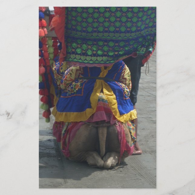 Whimsical Camel Art Print/Graphic Stationery (Front)