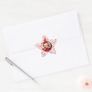 Whimsical Christmas Doodle Art Ornament Photo Star Sticker