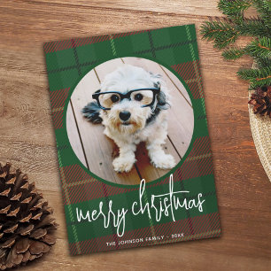 Whimsical Christmas Photo - Calligraphy and Plaid Holiday Card